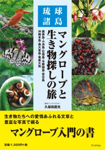 マングローブと生き物探しの旅